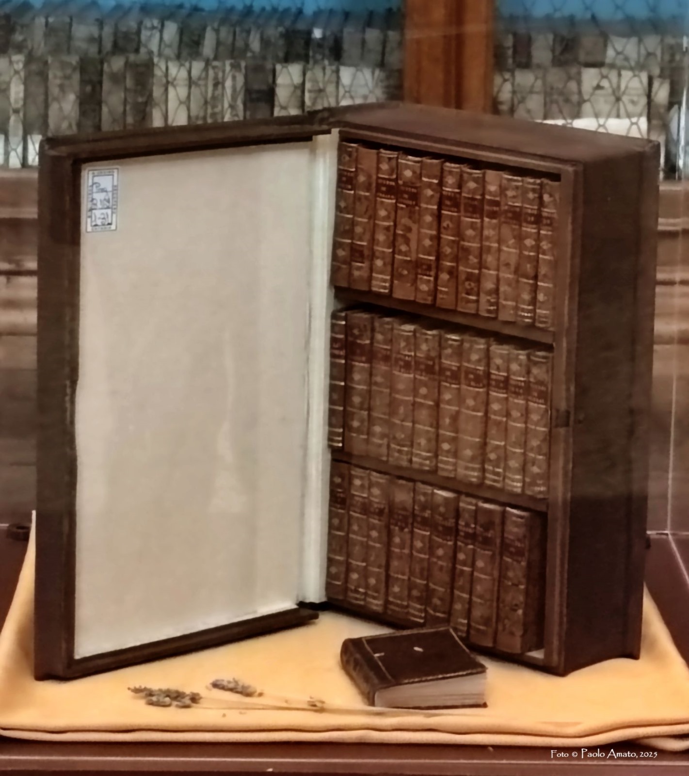 Visita alla Biblioteca Ursino Recupero